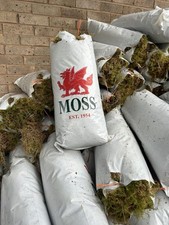 FRESH WELSH SPHAGNUM MOSS