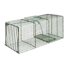 Duke Heavy Duty Single Entry Fox Cage Trap Live Catch Humane Non-Lethal Capture