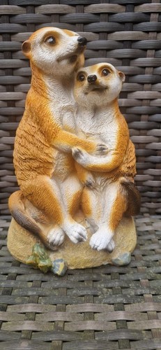 Charming meerkat couple garden - meerkat,
