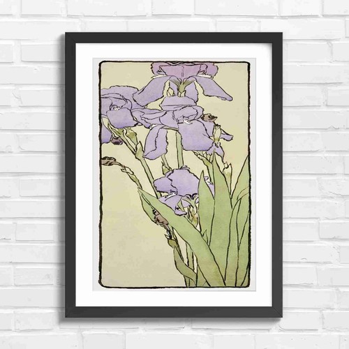Vintage purple iris flower - purple,