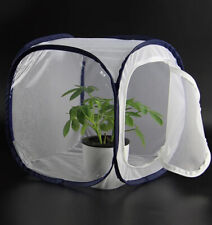 Pop Up Folding Cage Breeding Rearing Butterfly Stick Insect Caterpillars 30x30cm