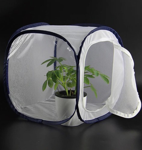 Pop folding cage breeding - pop,