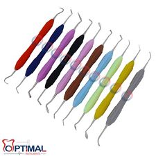 Dental Composite Filling Restorative Instruments 10 Pcs Set with Silicon Handle