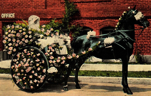 1910 horse english - c.1910,