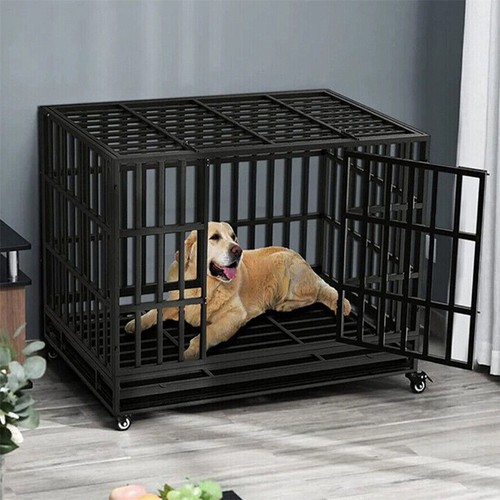 Indestructible dog crate - indestructible,