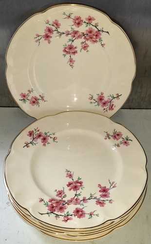 Johnson bros pareek - johnson,