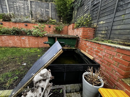 Quarantine fish filter - fish,