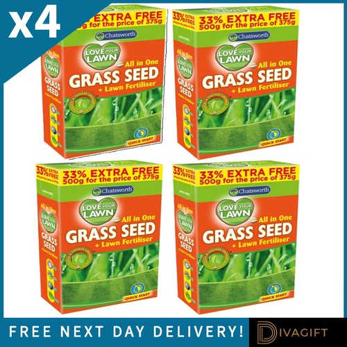 Grass seeds 500g lawn - 500g,