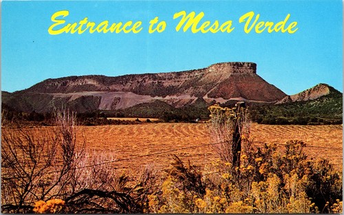 Vintage postcard entrance - vintage,