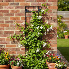 Petite Trellis - 51cm x 16cm x