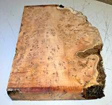 260X52X380MM LOT 543A BURR YEW