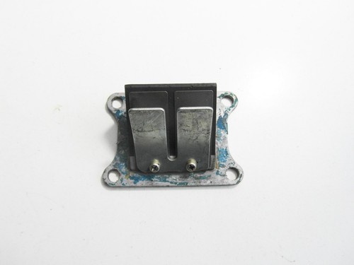 Original diaphragm