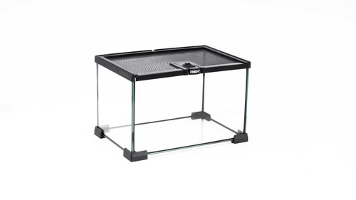 Prorep mini terrarium - terrarium, glass