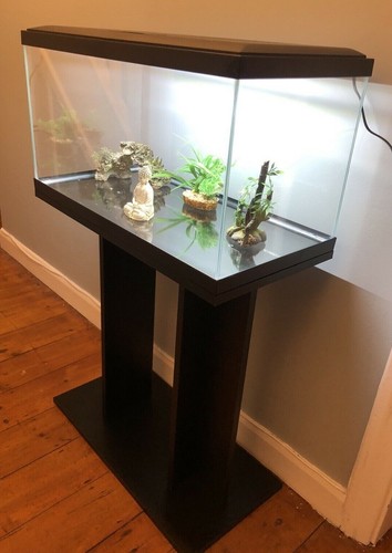 Brand new fish - new**, tank