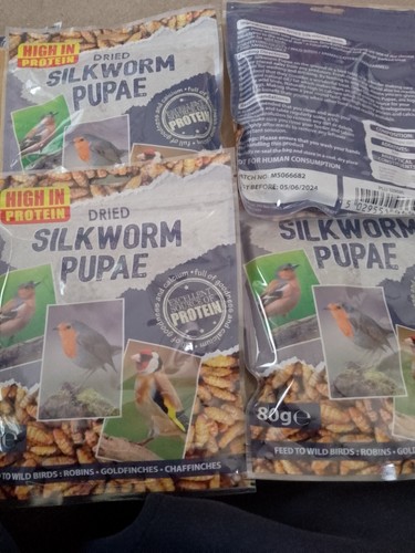 Dried silkworm pupae packs - 18,