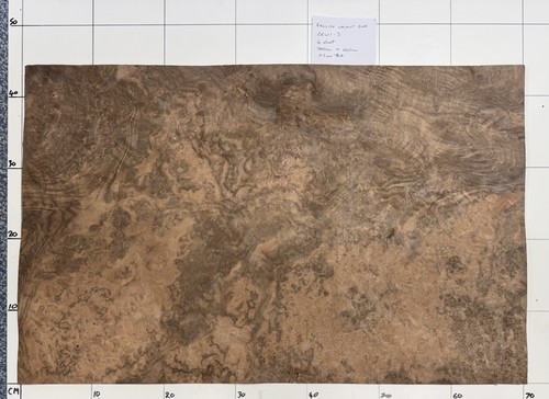 English walnut burr - veneer., 4