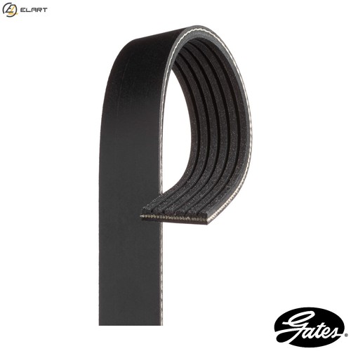 Vribbed belt 6pk1460 for - for, ford