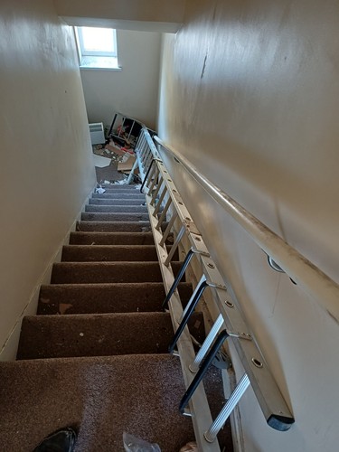 Roof cat ladder - roof/cat,