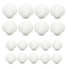 18PCS Natural Scallop Shells,White Seashells Bulk for Crafts DIY Painting2195