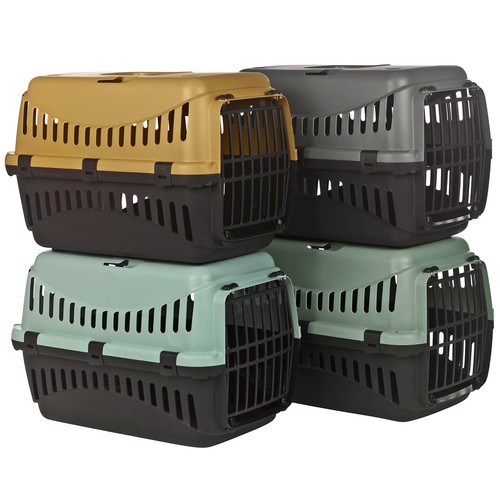 Dog cat puppy pet - puppy, carrier