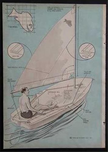 Sailboard sailing fun fish - sailing,