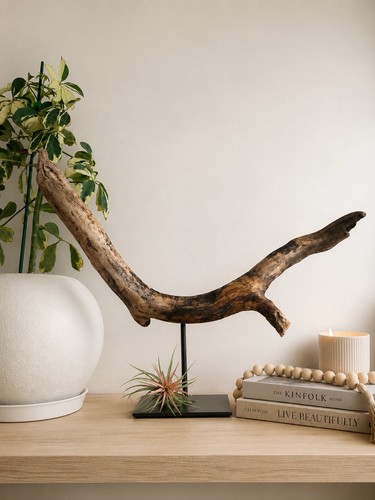 Driftwood sculpture art - driftwood,