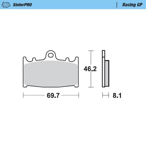 Motomaster front left pro - front,