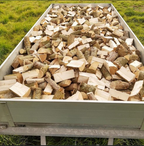 Firewood logs split - firewood,