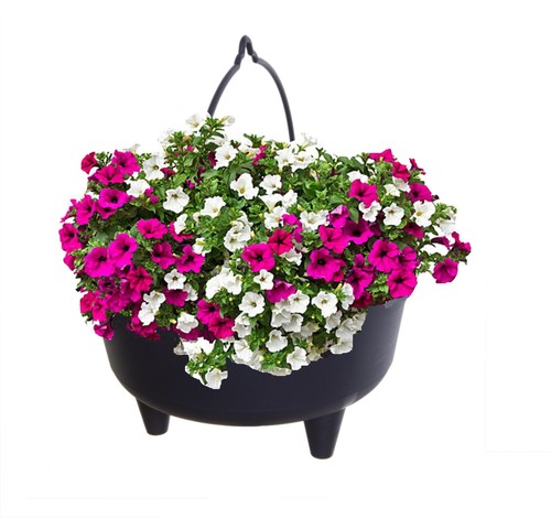 Black plastic cauldron planter - plastic,