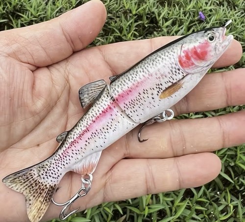 Realistic trout fishing - realistic, lure