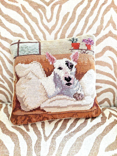 Jack russell bull terrier - jack,