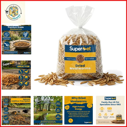 Dried mealworms for wild - dried,