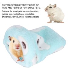 —Small Animal Pets Sleepping