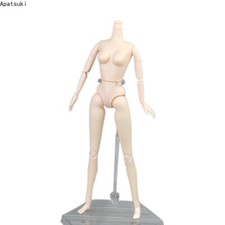 1/6 BJD Doll Miniature