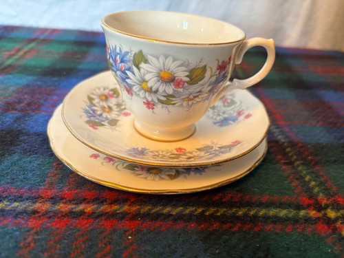 Royal kent vintage bone china - kent,