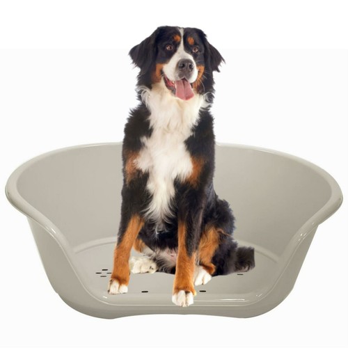 Grey plastic pet bed heavy - pet,