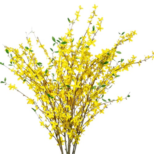 Fake forsythia stems - fake,