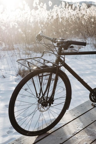 Pelego bike rack front - bike,