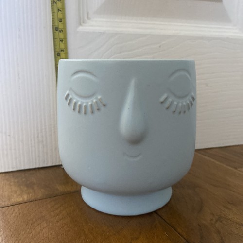 Flying tiger pale blue ceramic - flying,