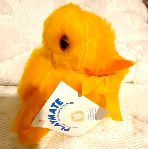 Spring time yellow chick duck - spring,