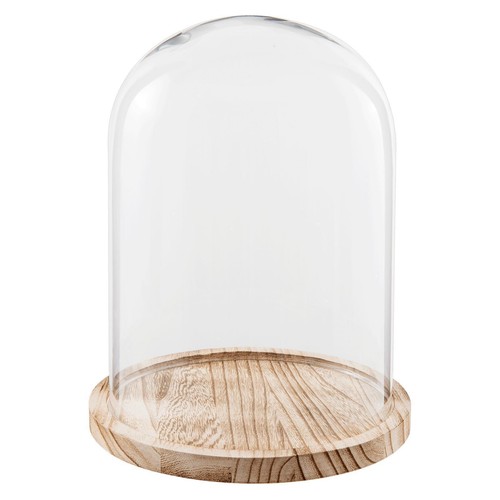 Glass display cloche bell jar - cloche,