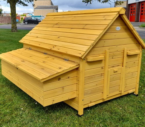 Large chicken coop opening - chicken,