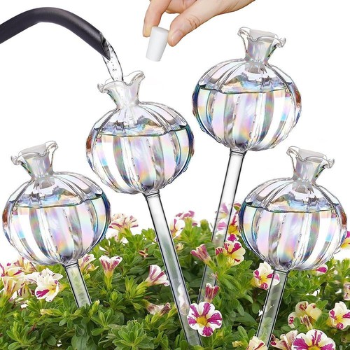 Plant watering globes cactus - watering,