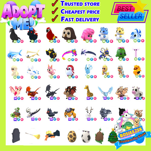 Adopt your pet from - me, today