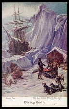 SIBERIAN HUSKY SLED DOG