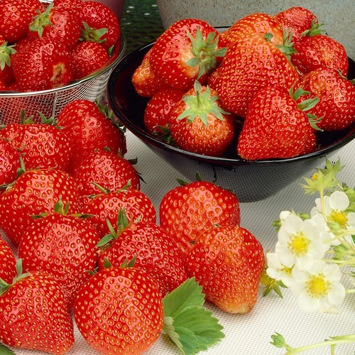Strawberry mixed bare - strawberry,