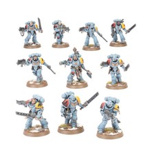 [SINLGES] Space Wolves Grey
