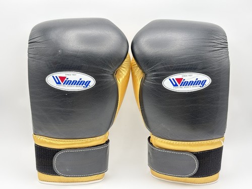 Winning boxing gloves - boxing,
