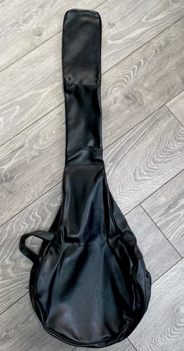 Vintage banjo string case - case,