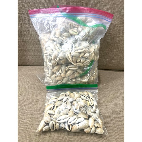 Natural olive barrel - olive, seashells